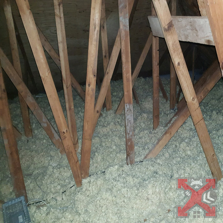 Attic with Insulation